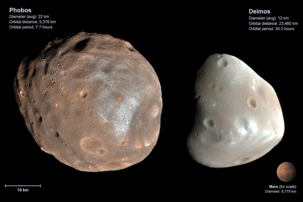 A detailed close-up image of the Martian moons, Phobos and Deimos, showcasing their irregular potato-like shapes